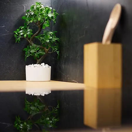 شقة Park Red By Bookinghost فروتسواف